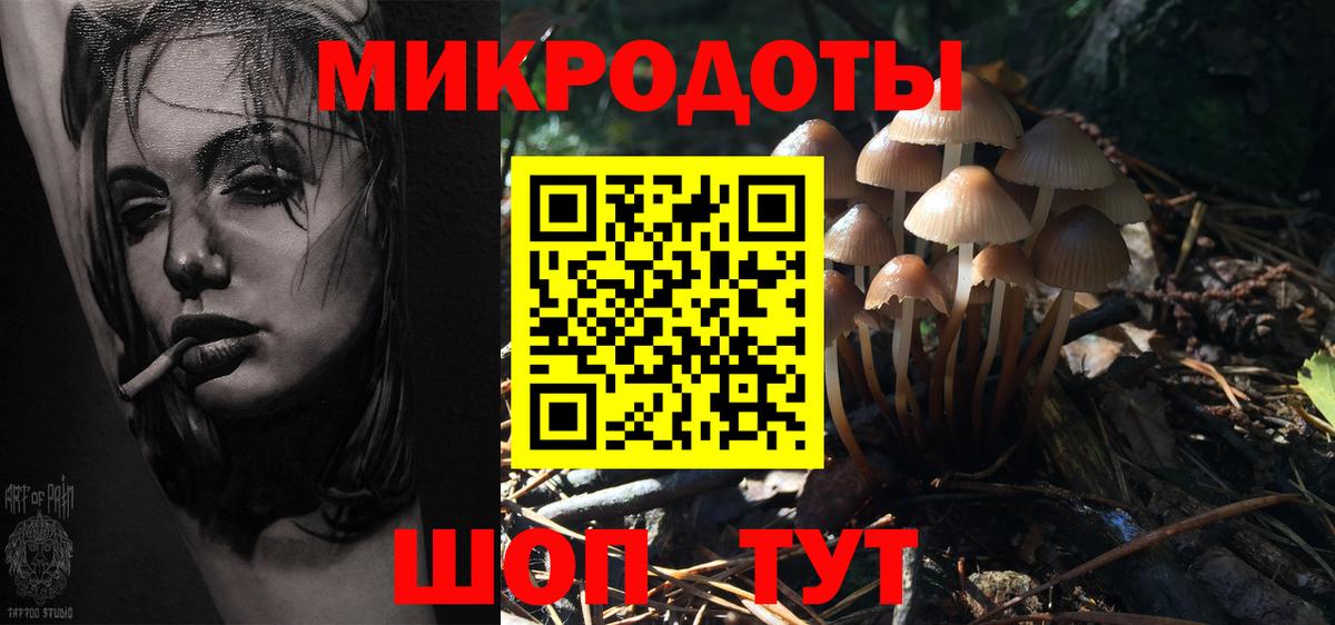 Галлюциногенные грибы Psilocybine cubensis Новочеркасск
